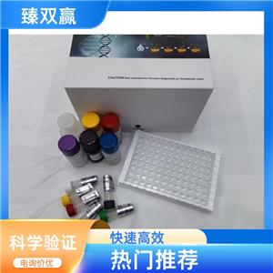 人硒蛋白P1(SEPP1)ELISA试剂盒,Human SEPP1 ELISA KIT