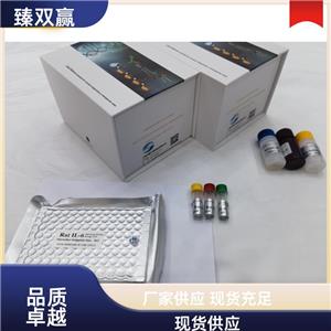 人冠层2同源物(CNPY2)ELISA试剂盒,Human CNPY2 ELISA KIT