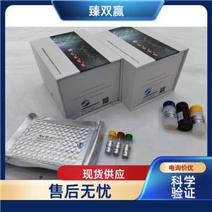 人含蛋白1的漆酶结构域(Lacc1)ELISA试剂盒