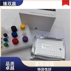 人多配体蛋白聚糖4(SDC4)ELISA试剂盒,Human SDC4 ELISA KIT