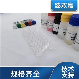 人线粒体融合素2(MFN2)ELISA试剂盒,Human MFN2 ELISA KIT
