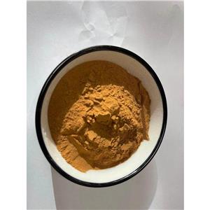 淫羊藿提取物,Epimedium extract