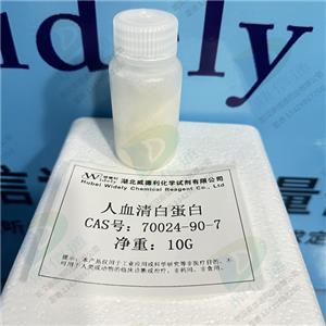 人血清白蛋白；重组人白蛋白,Albumin from human serum