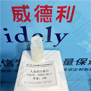 人血清白蛋白；重组人白蛋白,Albumin from human serum