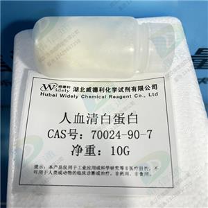 人血清白蛋白；重组人白蛋白,Albumin from human serum
