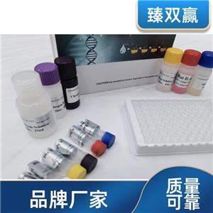 人细胞周期蛋白E1(CCNE1)ELISA试剂盒,Human CCNE1 ELISA KIT