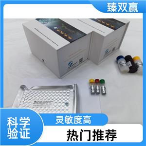 人封闭蛋白3(CLDN3)ELISA试剂盒,Human CLDN3 ELISA KIT