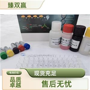 人尼克酰胺腺嘌呤二核苷酸磷酸氧化酶4(NOX4)ELISA试剂盒,Human NOX4 ELISA KIT