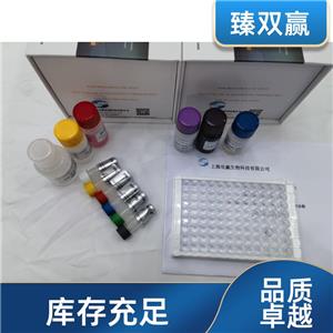 人细胞色素C氧化酶亚基Ⅱ(COX2)ELISA试剂盒,Human COX2 ELISA KIT