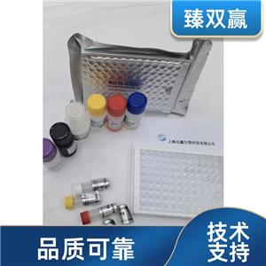 人细胞色素C氧化酶亚基Ⅱ(COX2)ELISA试剂盒,Human COX2 ELISA KIT