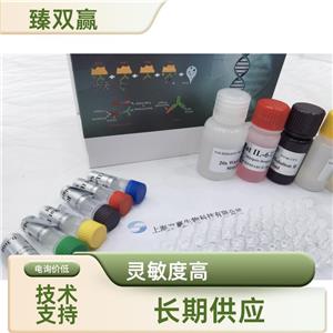 人Janus激酶2(JAK2)ELISA试剂盒,Human JAK2 ELISA KIT