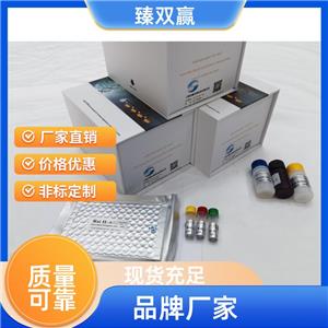人基质金属蛋白酶抑制因子3(TIMP-3)ELISA试剂盒,Human TIMP~3 ELISA KIT