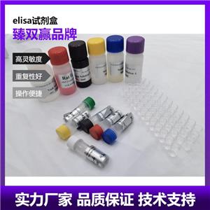 人抗原肽转运蛋白1(TAP1)ELISA试剂盒,Human TAP1 ELISA KIT
