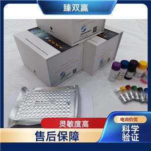 人抗原肽转运蛋白1(TAP1)ELISA试剂盒,Human TAP1 ELISA KIT