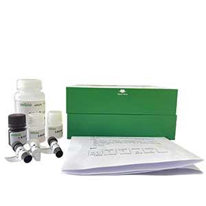 过氧化氢酶(CAT)测定试剂盒(可见光法)/96样,CAT ELISA KIT