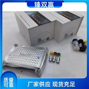 人髓系细胞触发受体-2(TREM-2)ELISA试剂盒,Human TREM~2 ELISA KIT