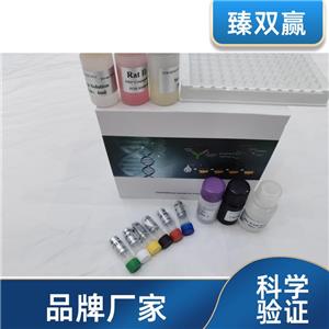 人高尔基蛋白73(GP73)ELISA试剂盒,Human GP73 ELISA KIT