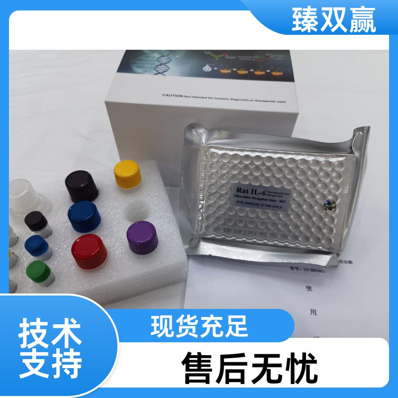 人间隙连接蛋白40(CX40)ELISA试剂盒,Human CX40 ELISA KIT