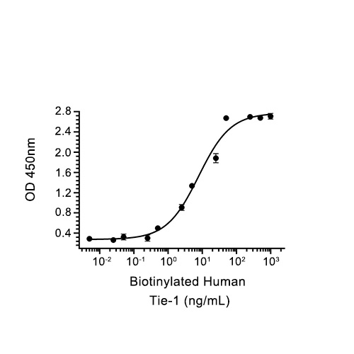 TIE-1蛋白, Human (HEK293, His),TIE-1 Protein, Human (HEK293, His)