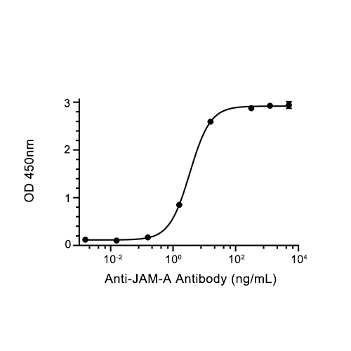 JAM-A/CD321蛋白, Human (HEK293, His),JAM-A/CD321 Protein, Human (HEK293, His)