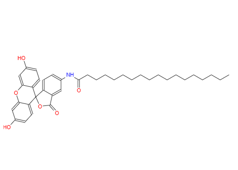 5-(十八酰基氨基)荧光素荧光用,5-(Octadecanoylamino)fluorescein