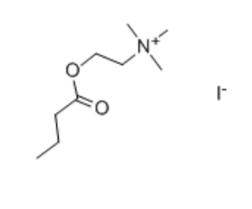 N-正丁酰基碘化胆碱,BUTYRYLCHOLINE IODIDE