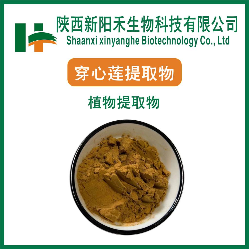 穿心莲提取物,Andrographis paniculata extract