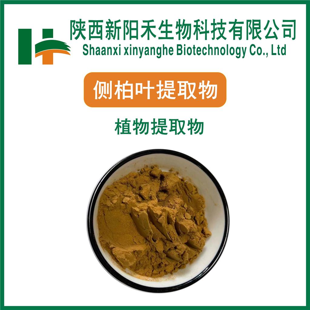 侧柏叶提取物,Platyclaus orientalis leaf extract