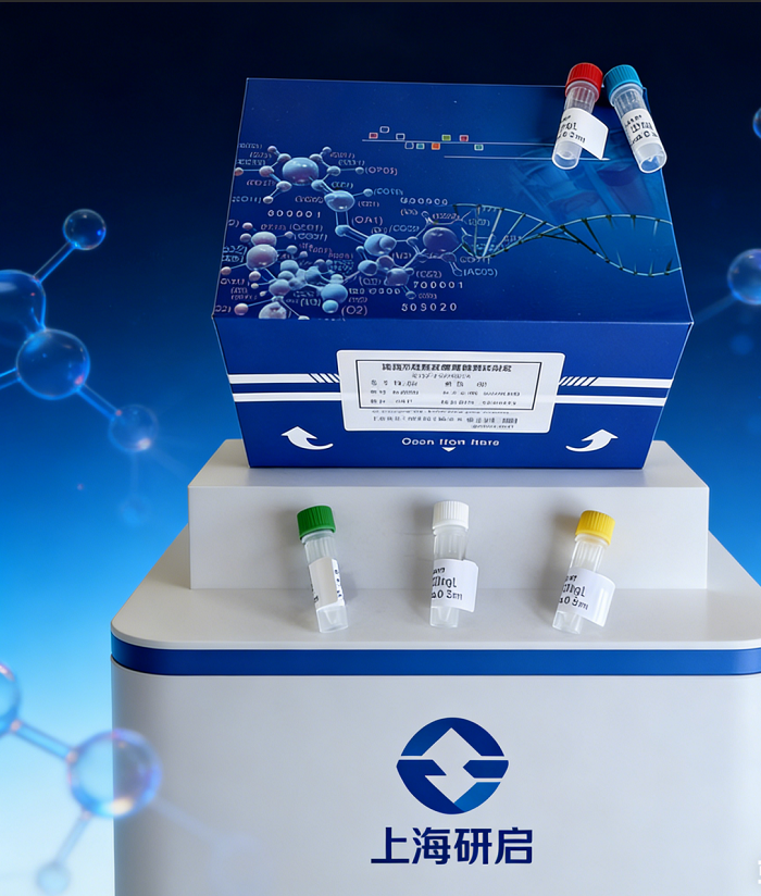 谷草转氨酶/天冬氨酸氨基转氨酶(GOT/AST)试剂盒,Biochemical reagent kit