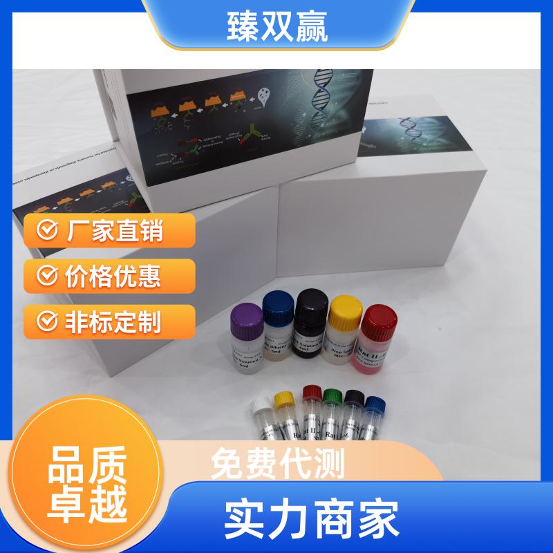 人Smad同源物7(Smad7)ELISA试剂盒,Human Smad7 ELISA KIT