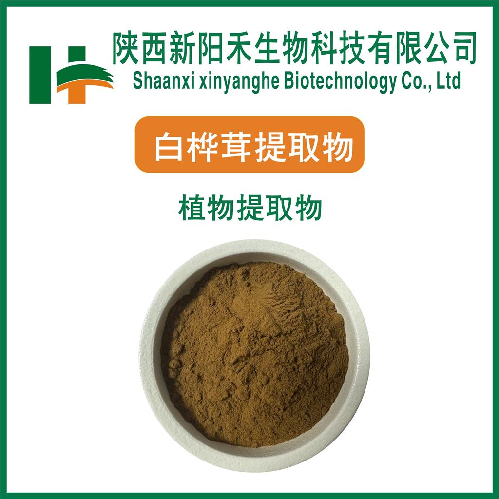 白桦茸提取物,Chaga mushroom extract