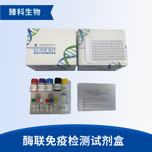 人白三烯B4受体1(BLT1;LTB4R1）检测试剂盒（ELISA法）