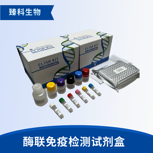 人亮氨酰氨基肽酶(LAP）elisa试剂盒