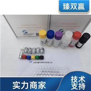 人Ⅲ型前胶原羧基端原肽(PⅢCP)ELISA试剂盒,Human PⅢCP ELISA KIT
