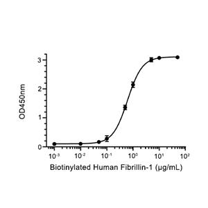 Fibrillin-1/Asprosin蛋白, Human (HEK293, His)