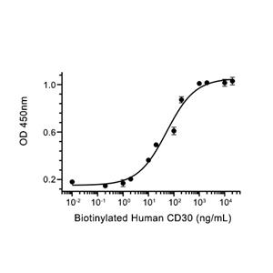 CD30/TNFRSF8蛋白, Human (HEK293, His),CD30/TNFRSF8 Protein, Human (HEK293, His)