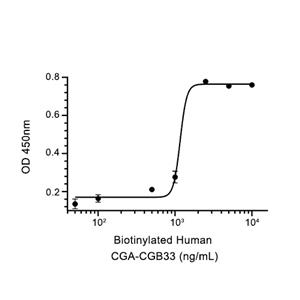 CGA-CGB3 Heterodimer蛋白, Human (HEK293, His),CGA-CGB3 Heterodimer Protein, Human (HEK293, His)