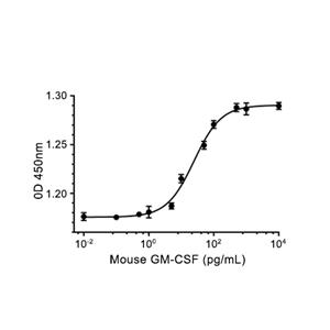 GM-CSF蛋白, Mouse (HEK293, His)