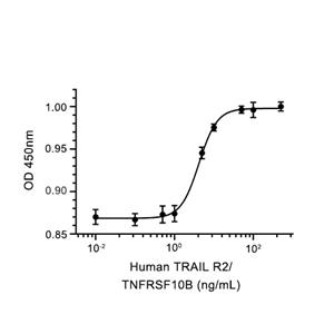TRAIL R2/TNFRSF10B蛋白, Human (127a.a, HEK293, His),TRAIL R2/TNFRSF10B Protein, Human (127a.a, HEK293, His)