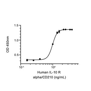 IL-10R alpha蛋白, Human (HEK293, His)
