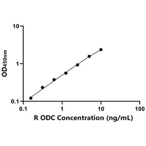 ODC ELISA KIT / 大鼠鸟氨酸脱羧酶 ELISA试剂盒