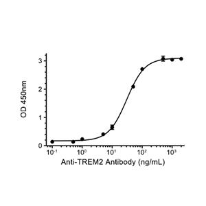 TREM-2蛋白, Human (HEK293, His)