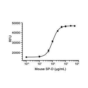 SP-D蛋白, Mouse (HEK293, His)