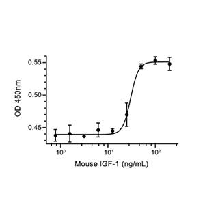 IGF-I/IGF-1蛋白, Mouse (His)