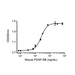 PDGF-BB蛋白, Mouse (His)