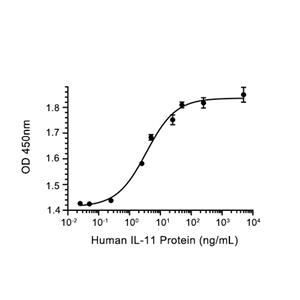 IL-11蛋白, Human (P.pastoris)