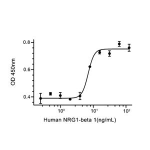 NRG1-beta 1蛋白, Human (245a.a)