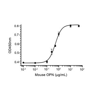 Osteopontin/OPN蛋白, Mouse (P.pastoris, His)