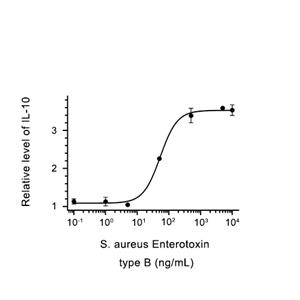 Enterotoxin type B蛋白, S. aureus (P.pastoris, His)