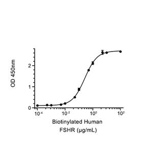 FSHR蛋白, Human (His)